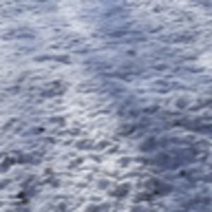 Meet your Posher, Esther